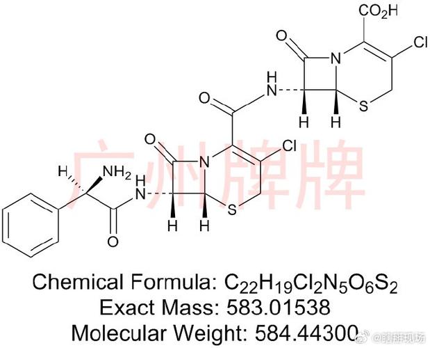 质量研究在药品研发中的核心地位 从杂质控制到分析技术
